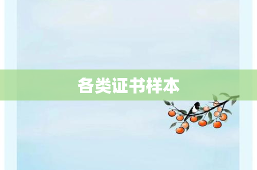 各类证书样本