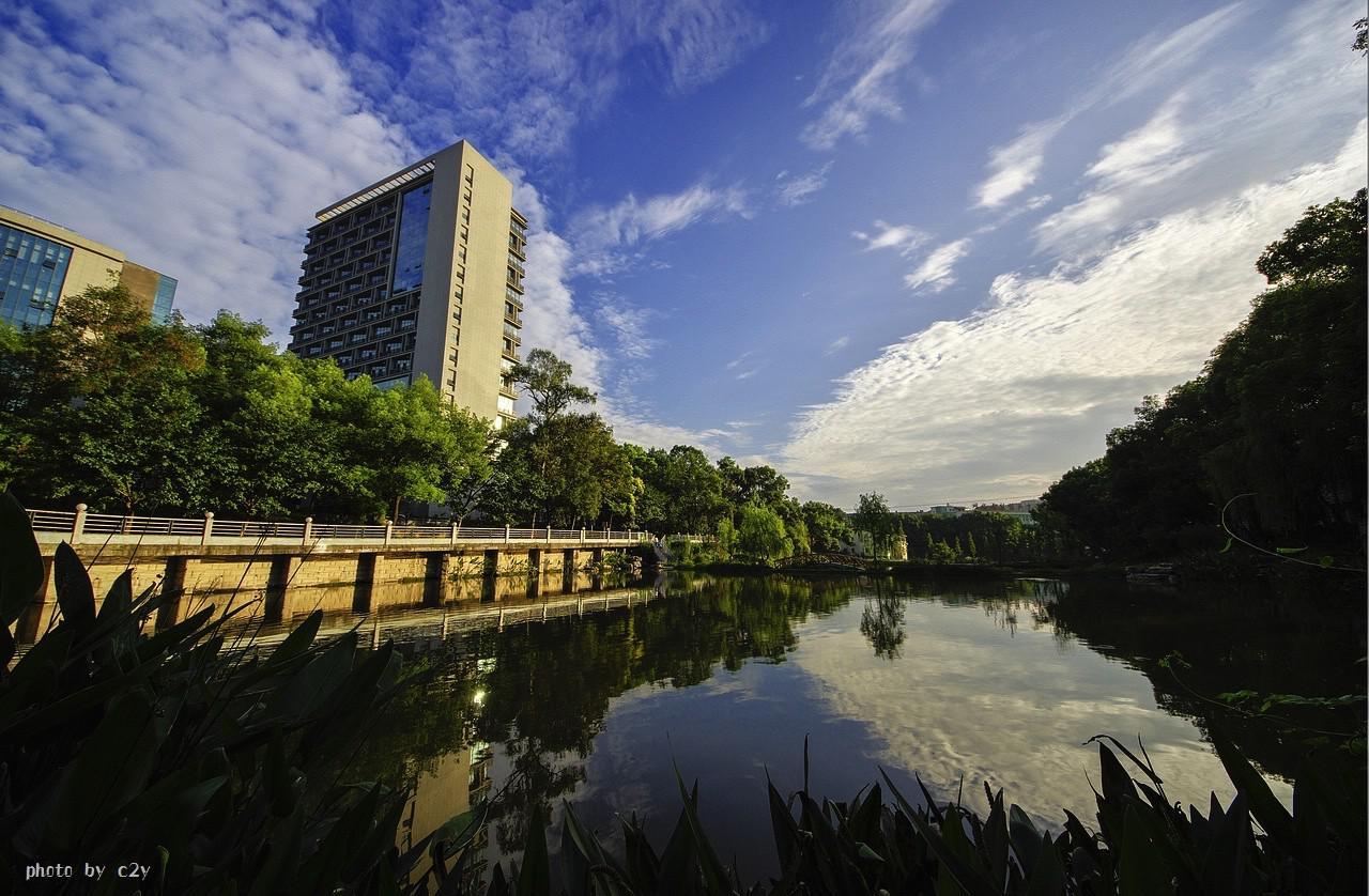 西南大学(西南大学录取分数线)