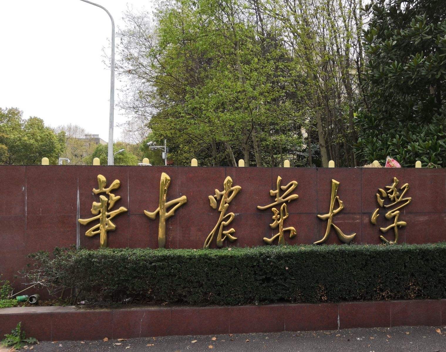 华中农业大学(华中农业大学官网)