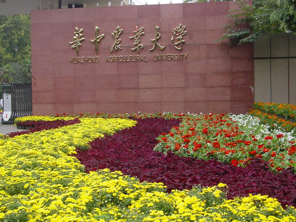 华中农业大学(华中农业大学官网)