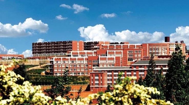 云南大学毕业证(云南大学毕业证图片大全)