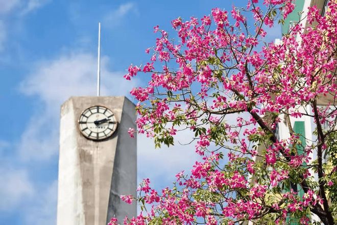 华南农业大学(华南农业大学图书馆)