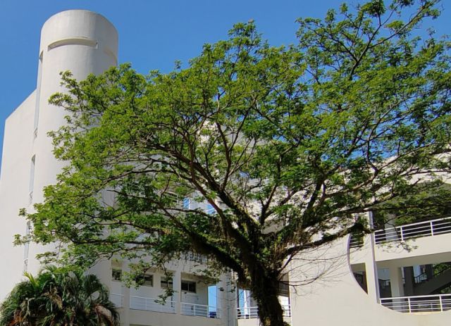海南大学(海南大学继续教育学院)