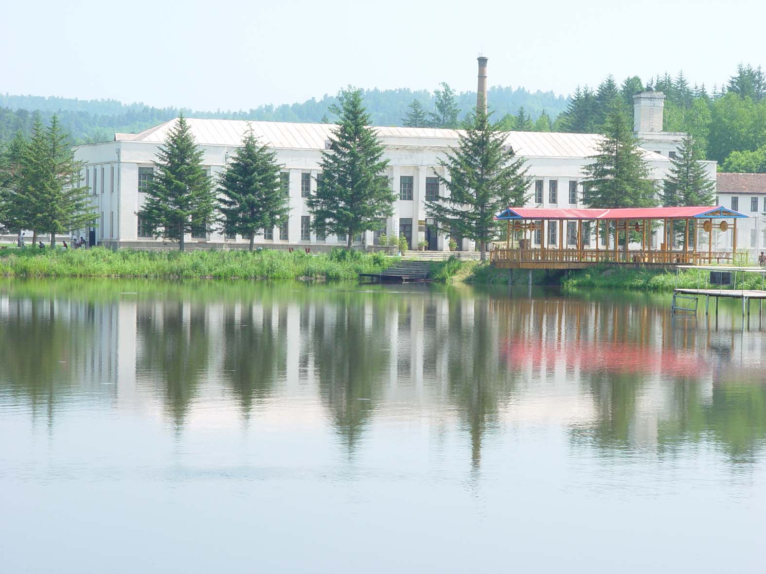 东北林业大学毕业证(东北林业大学毕业证书样本)