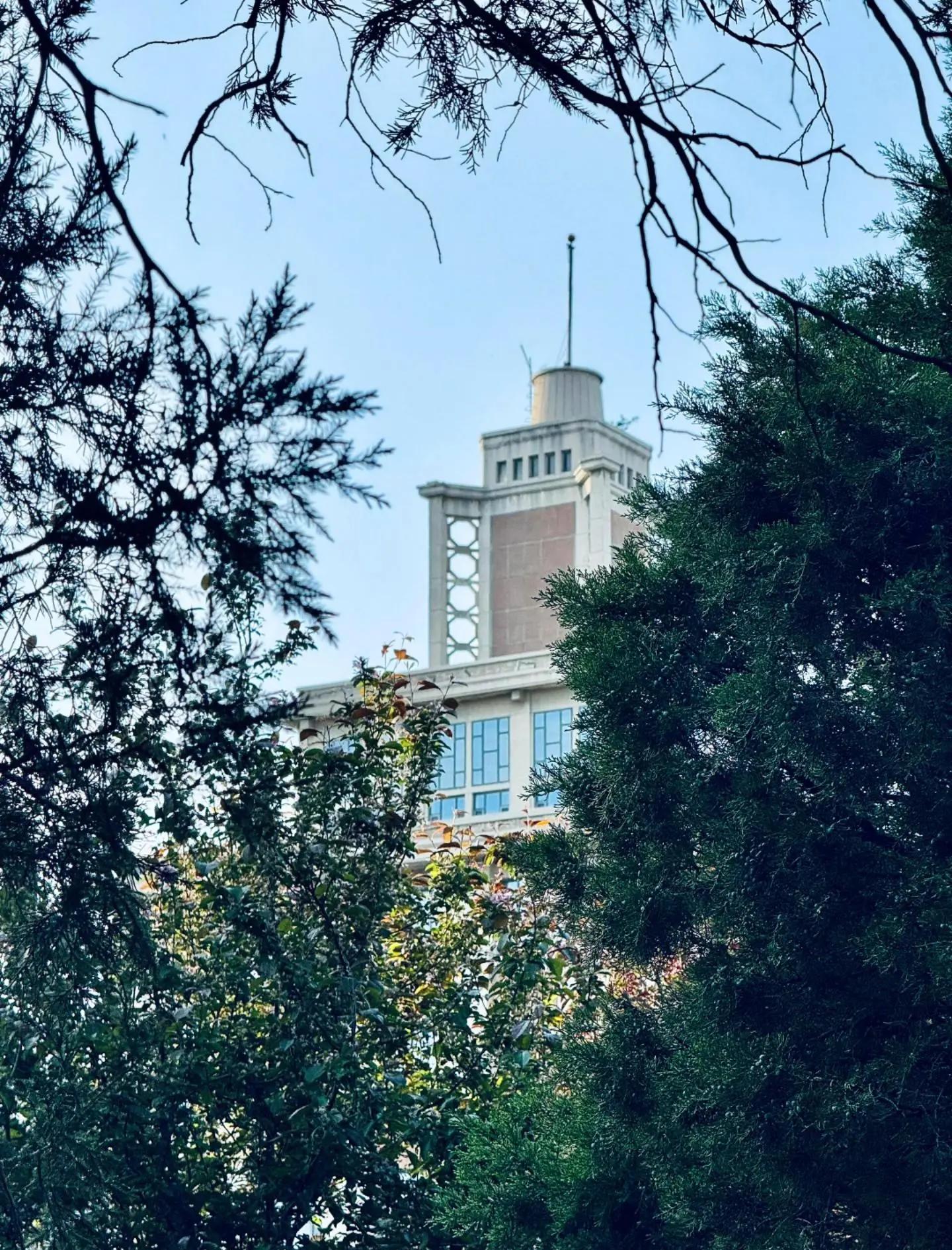东北大学在哪
