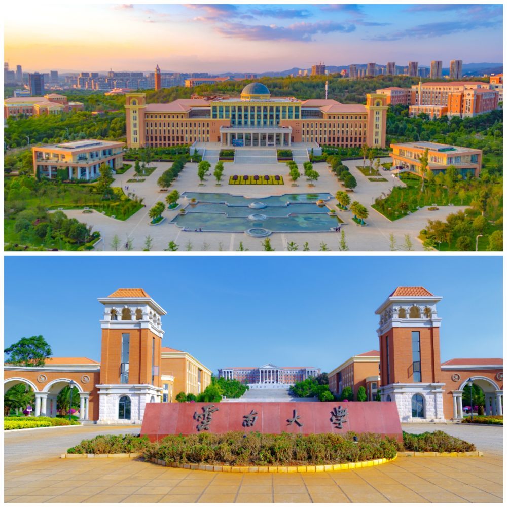 云南大学毕业证查询系统