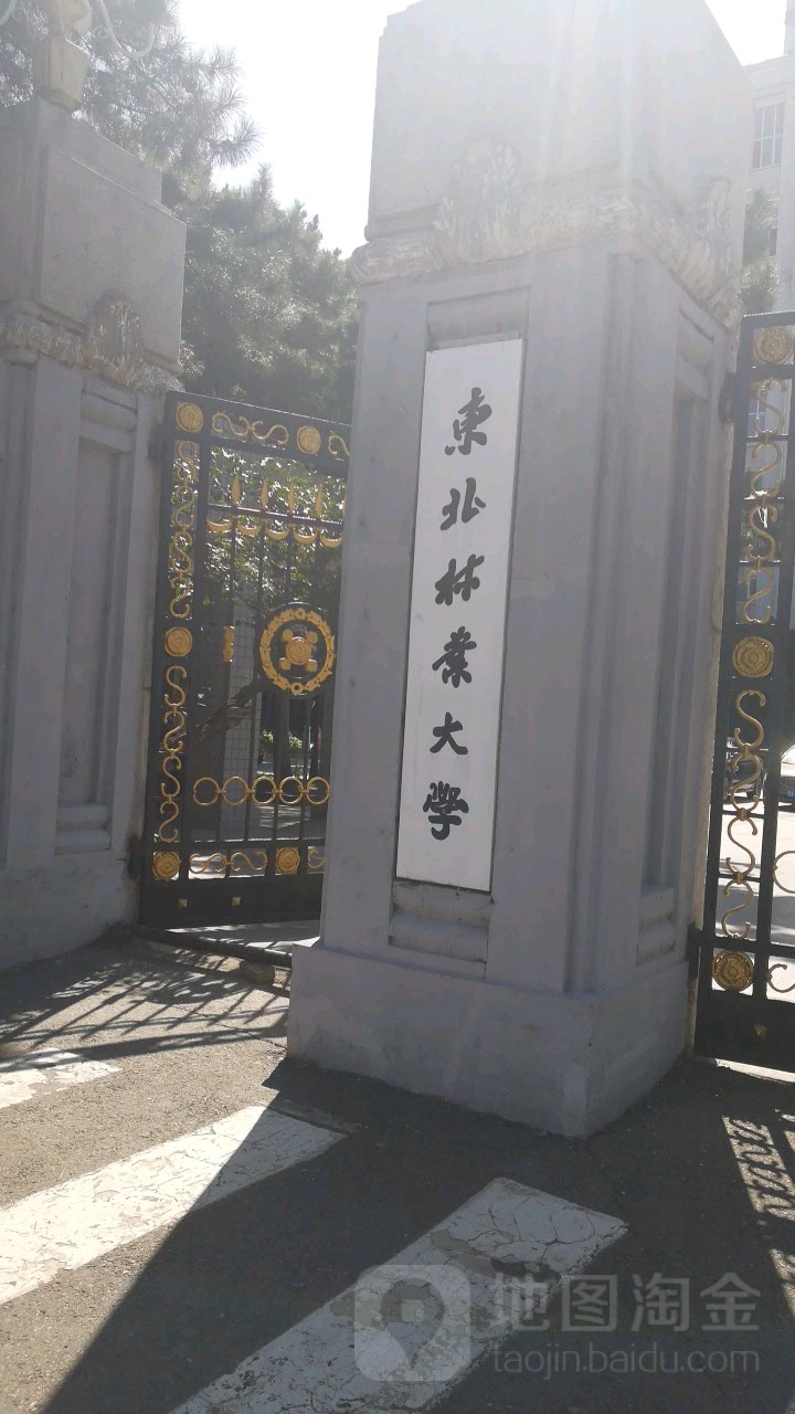 东北林业大学几年制