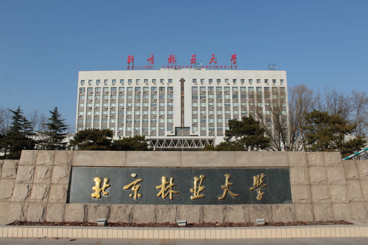 北京林业大学毕业证书补办流程