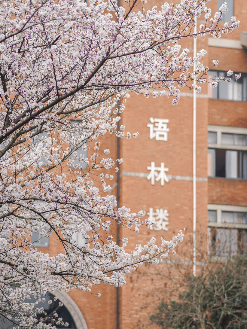 浙江工业大学研究生招生网