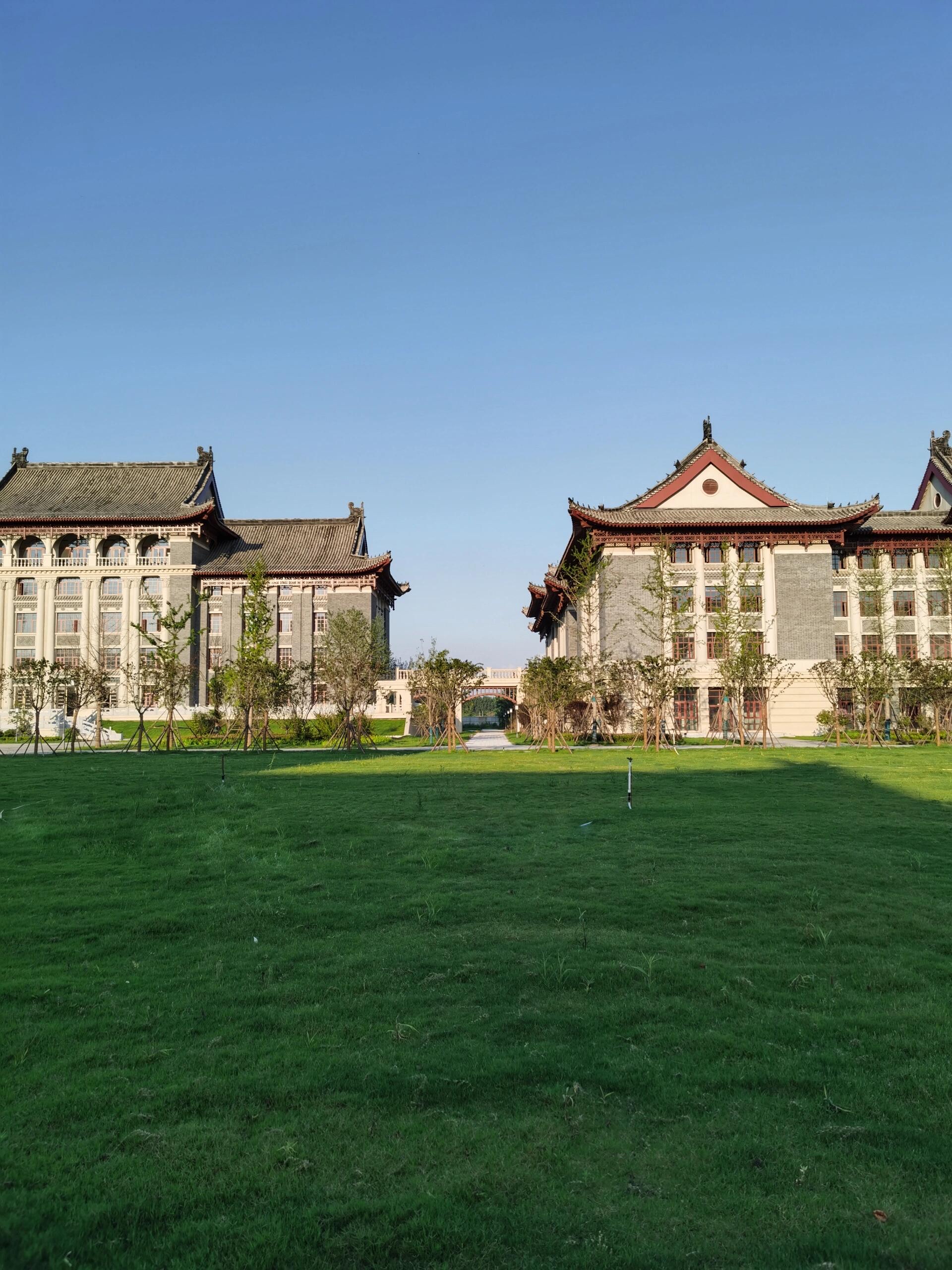 河南大学体育舞蹈摘冠