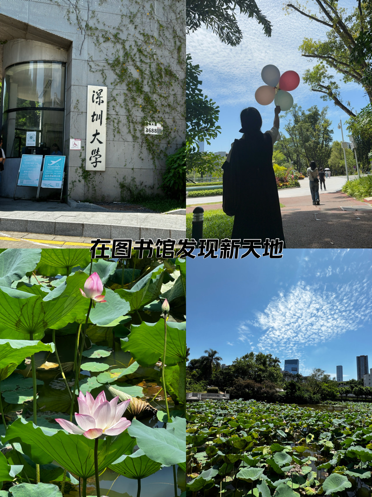 深圳大学是211吗
