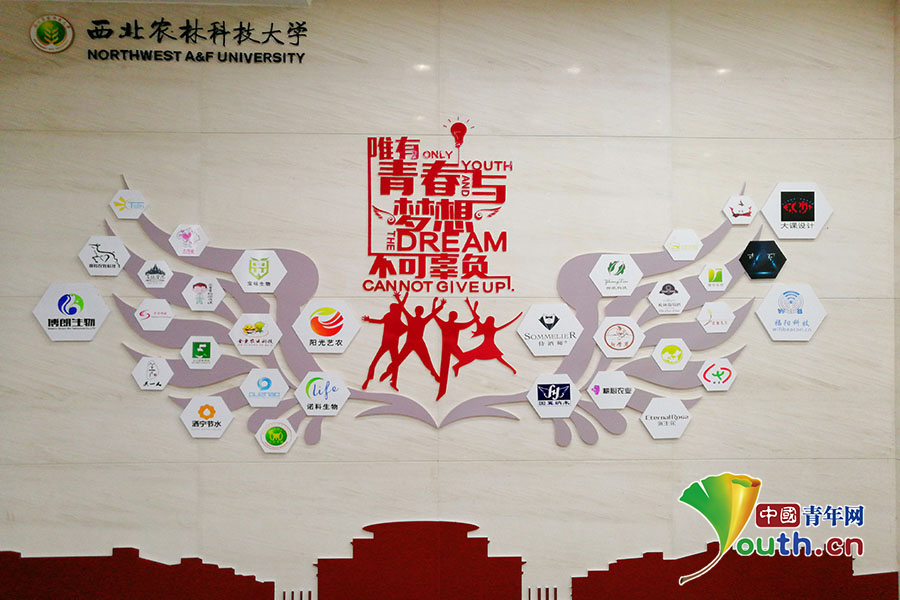 西北农林科技大学毕业证要求