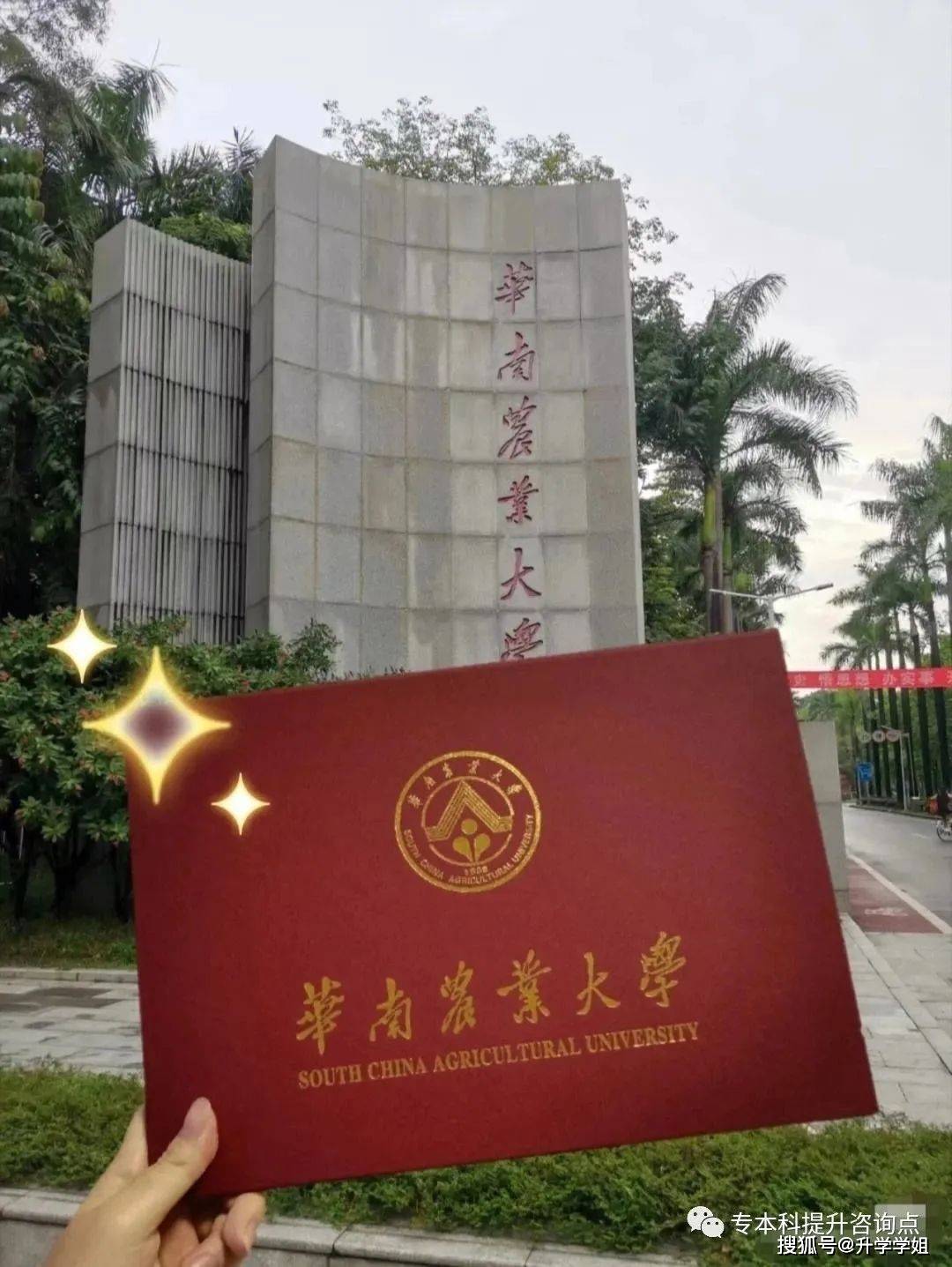 华南农业大学本科毕业证图片