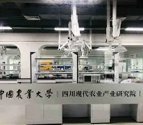 中国农业大学咋样毕业去向