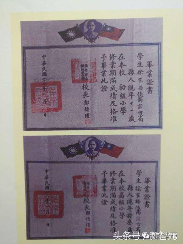 南京大学有大专文凭吗